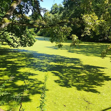 Nad Stawami Wypozyczalnia Kajakow I Rowerow Milicz