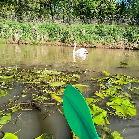 Nad Stawami Wypozyczalnia Kajakow I Rowerow