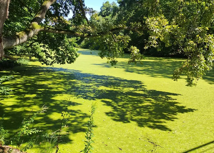Nad Stawami Wypozyczalnia Kajakow I Rowerow Milicz