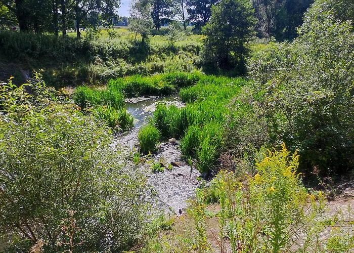 Σπίτι διακοπών Nad Stawami Wypozyczalnia Kajakow I Rowerow *