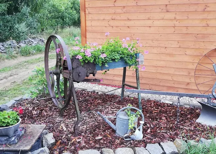 Nad Stawami Wypozyczalnia Kajakow I Rowerow Milicz