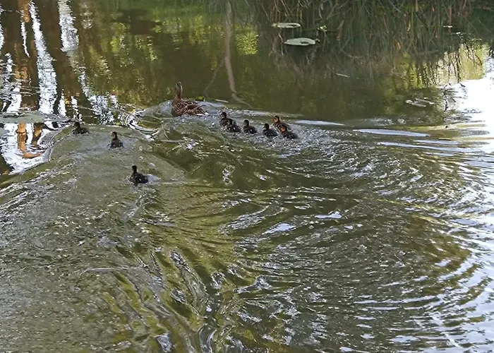 Prázdninový dům Nad Stawami Wypozyczalnia Kajakow I Rowerow
