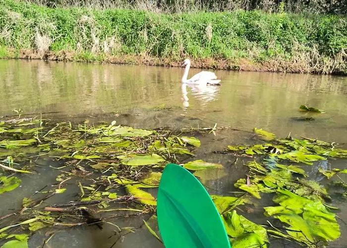 Nad Stawami Wypozyczalnia Kajakow I Rowerow
